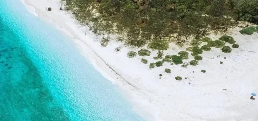 Great Barrier Reef Tour Cancelled