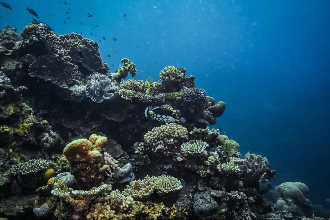 Why Conditions Shut Down Offshore Adventures