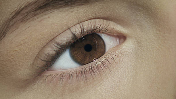 Close-up of a human eye showing detailed iris and eyelashes